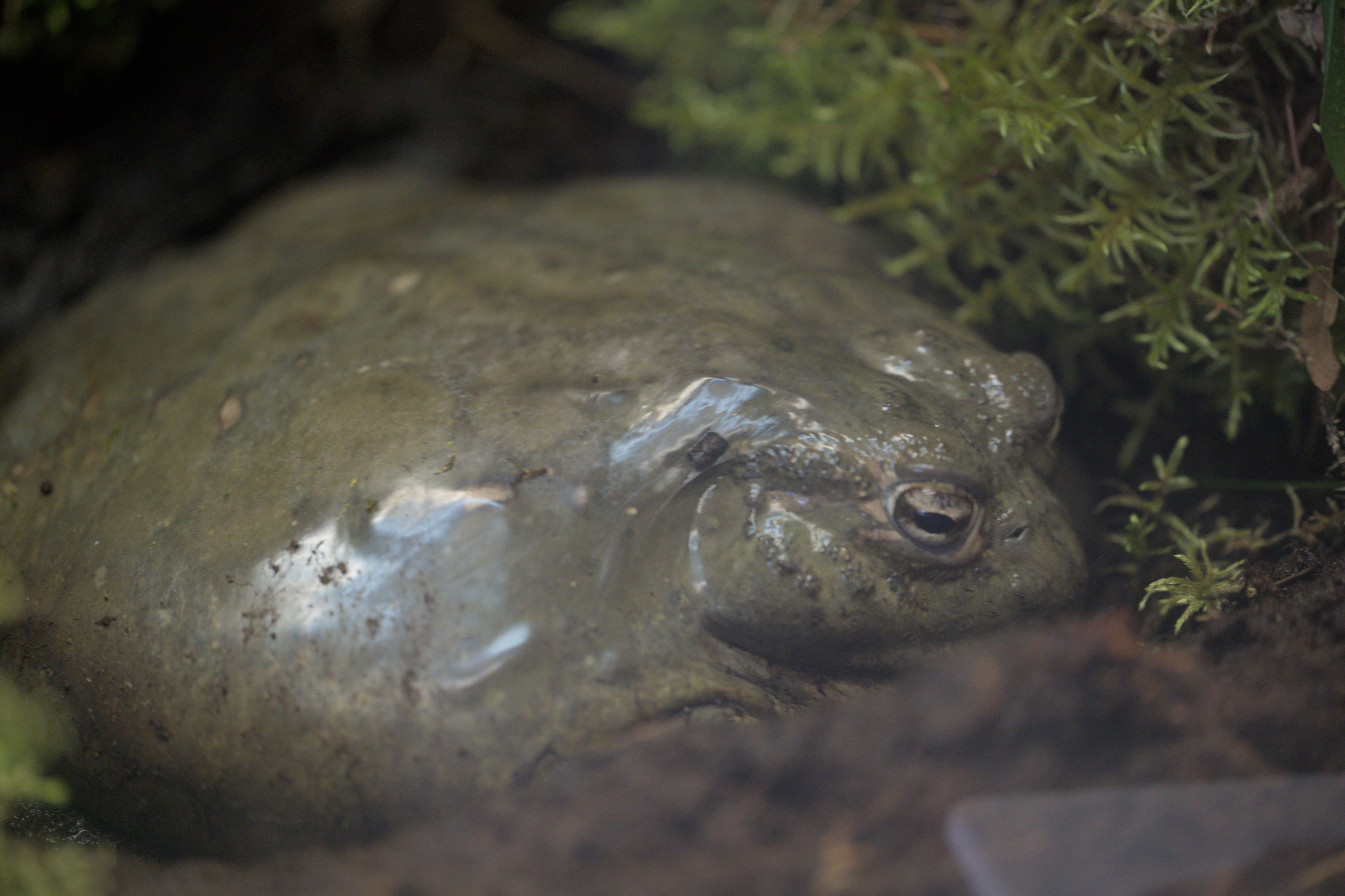 2025/10/12 - zoo/DSC_0174.jpg